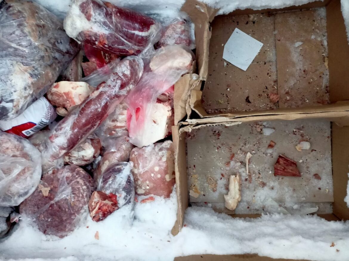 Zkažené maso v brněnské řeznické provozovně, foto: SVS