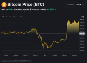 Bitcoin 20. 1. 2025, zdroj: binance.com